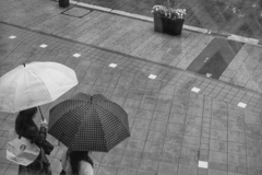 雨の横浜元町