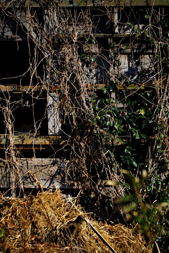 仮想ウクライナ訪問④