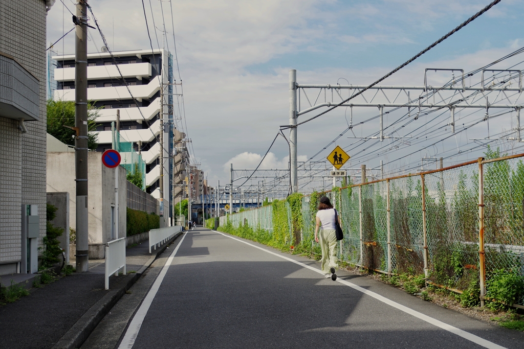 朝撮り