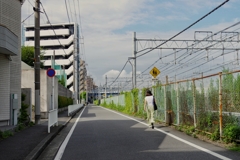 朝撮り