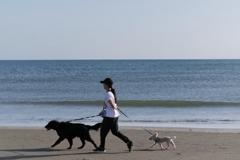 由比ヶ浜(神奈川県鎌倉市)