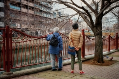 桜を楽しみにする二人