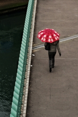 雨