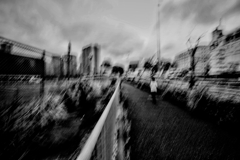 蒸し暑いですね