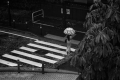 天気予報外れてカフェで雨宿り中