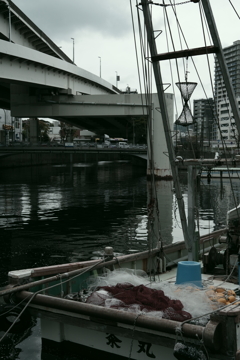 ストリートフォト