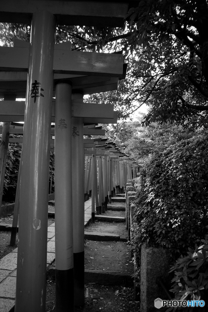谷根千　根津神社