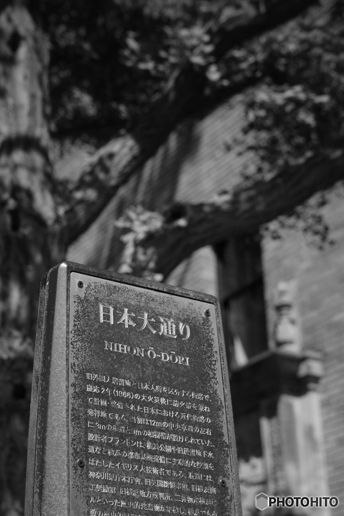 日本大通り