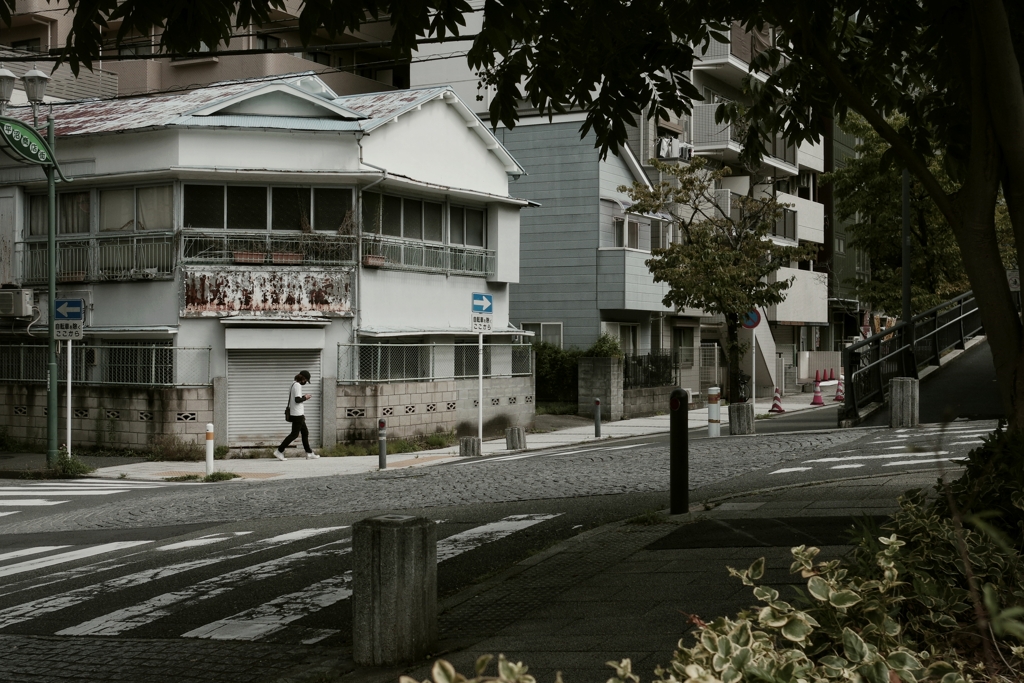 近所を朝撮り