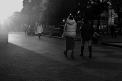 夕陽の公園