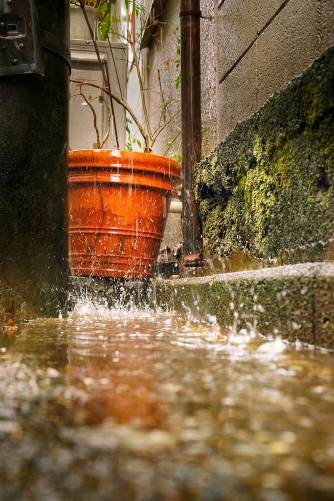 水溜まりから