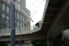 ビニール傘越しに