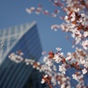 春