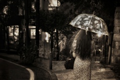 雨のポトレ(再現像)