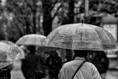 寒い雨の日に