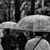 寒い雨の日に
