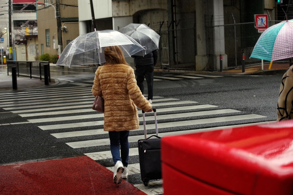 ストリートフォト