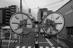 めがね