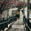 雨