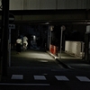 散歩撮影