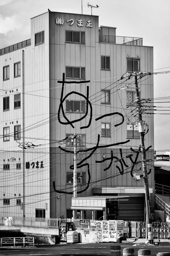 横浜トリエンナーレ参加作品③