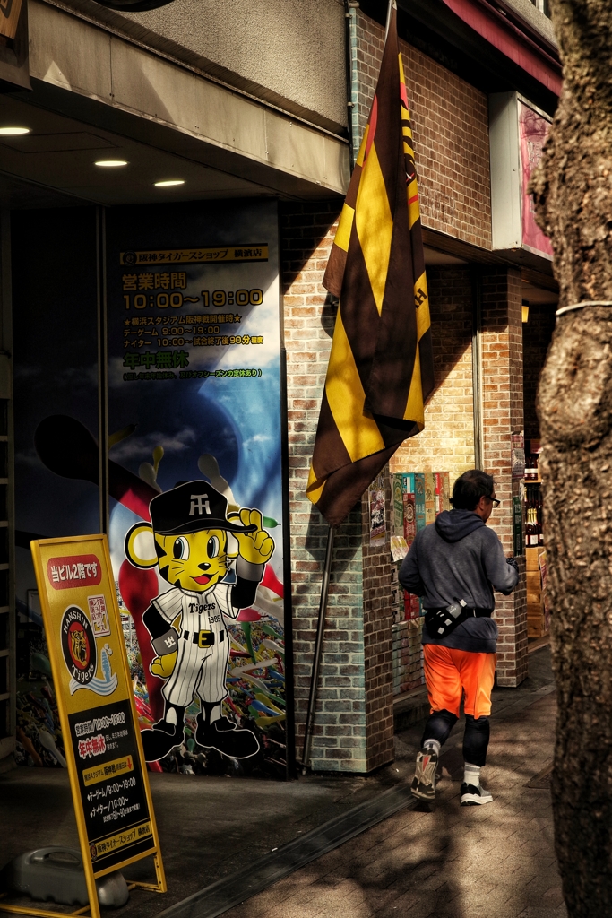 虎グッズの店(横浜市)
