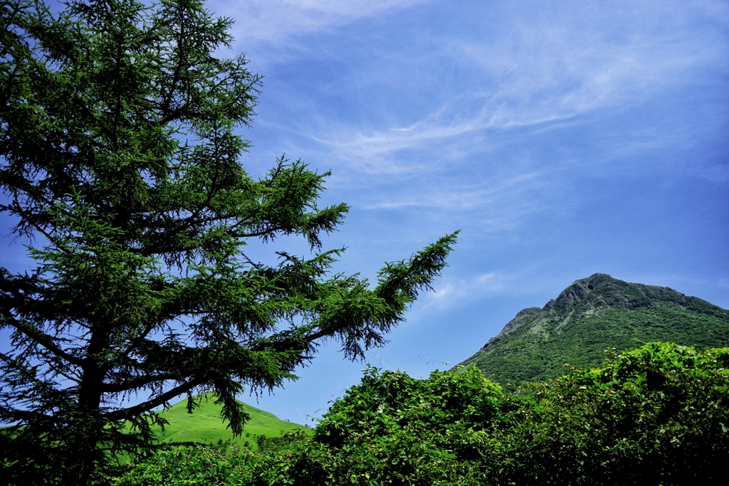 由布岳(別府市)