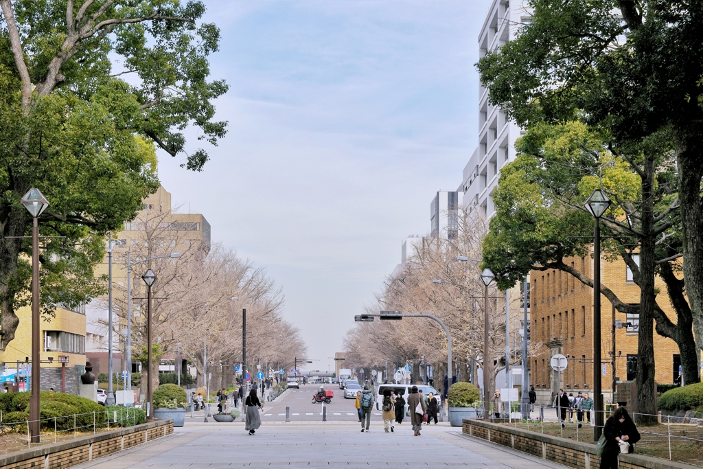 昔の国境(日本大通り)横浜市中区
