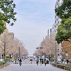 昔の国境(日本大通り)横浜市中区