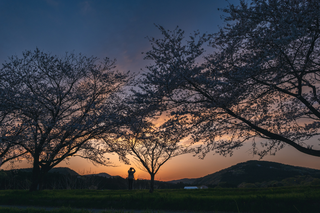 夕陽が沈む頃に