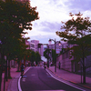 早稲田の夕暮れ頃