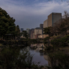庭園と街並みと