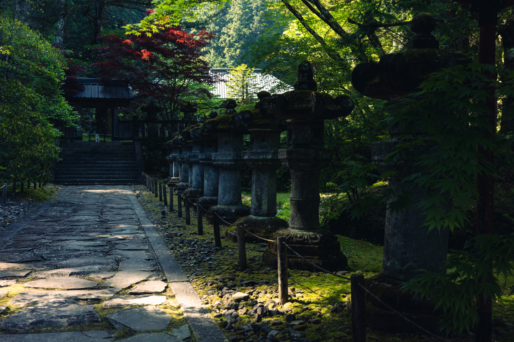 静寂の中で流れゆく年月を感じて