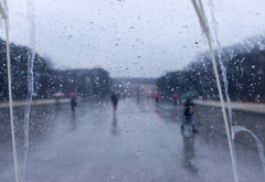 雨の上野公園