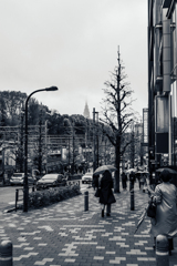 原宿の帰り路