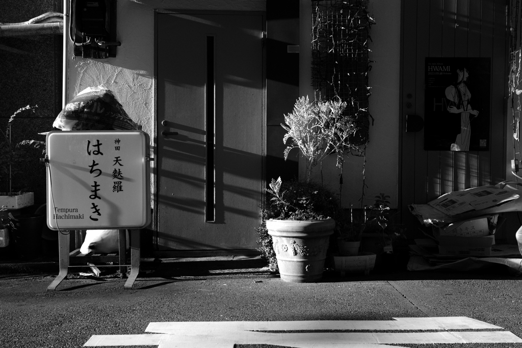西から陽を浴びて