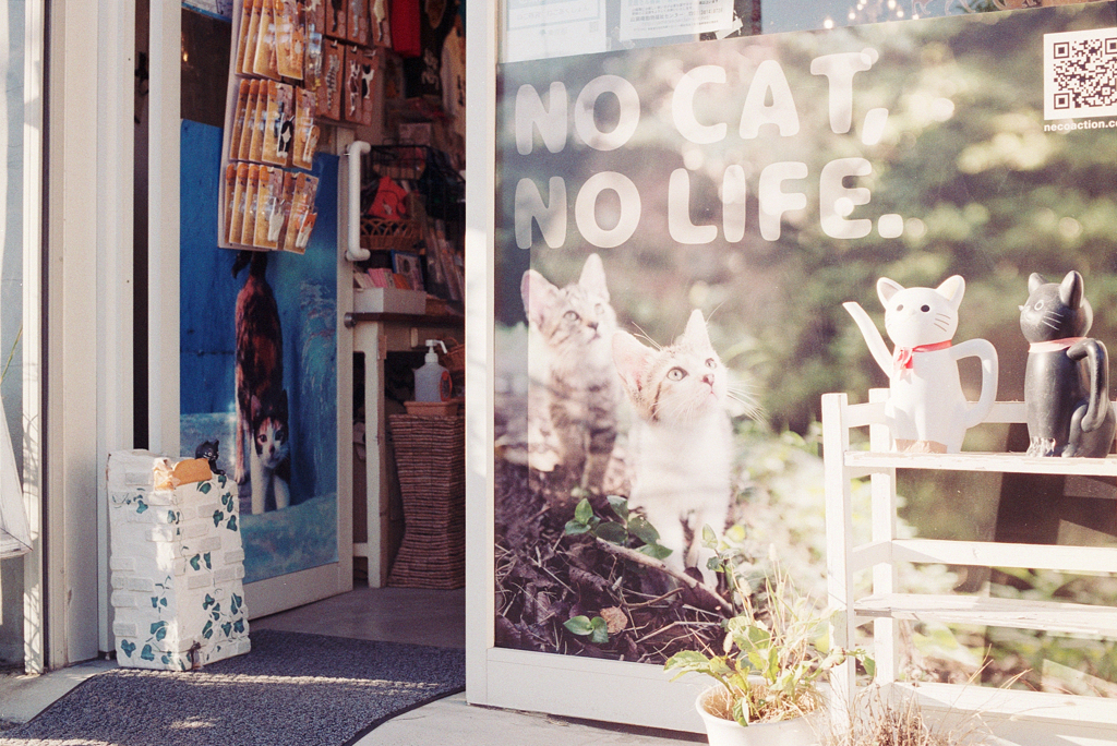 NO CAT, NO LIFE.