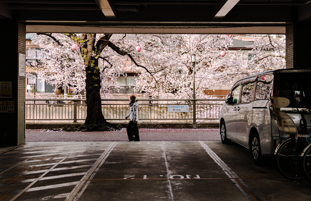 駐車場からの風景