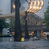 雨降る公園で・・・