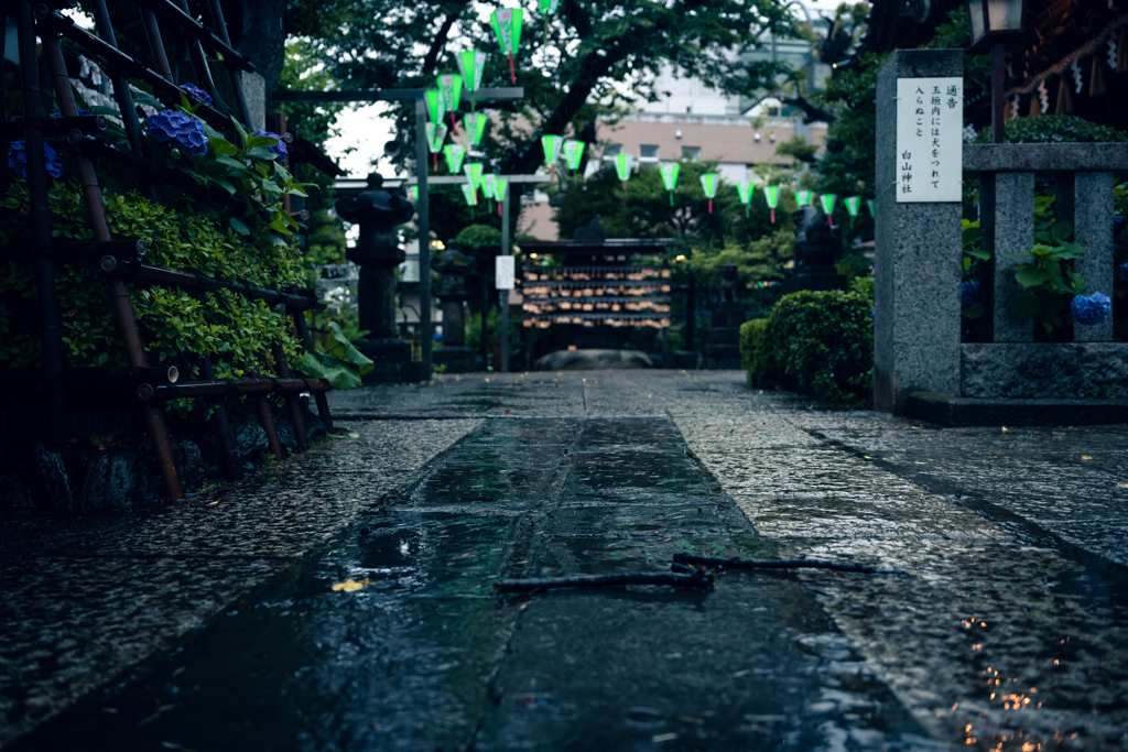 雨降る参道