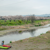 都幾川桜堤にて