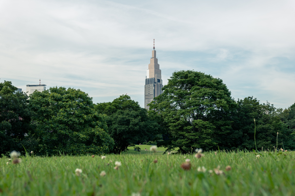 幸せな景色