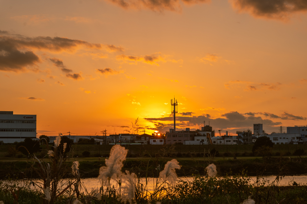 多摩川夕景