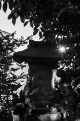 ちいさな祠