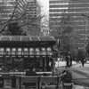 休日の公園では、、、
