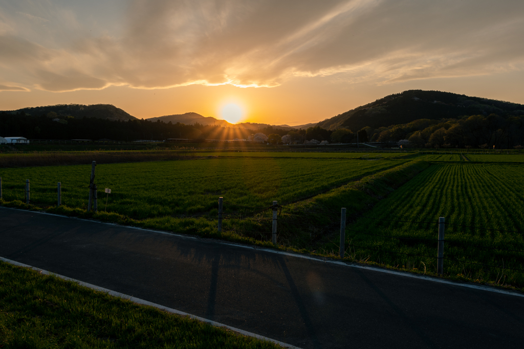 今日も夕陽が沈みゆく