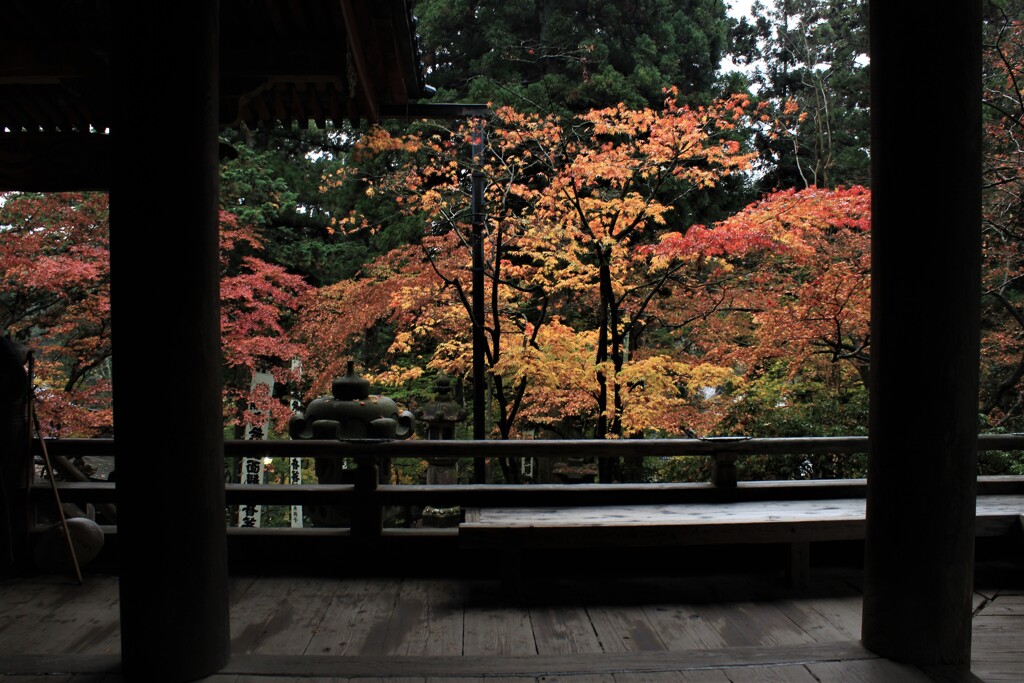 谷汲山の秋