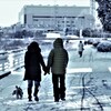 雪の日