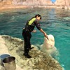 水族館ガール