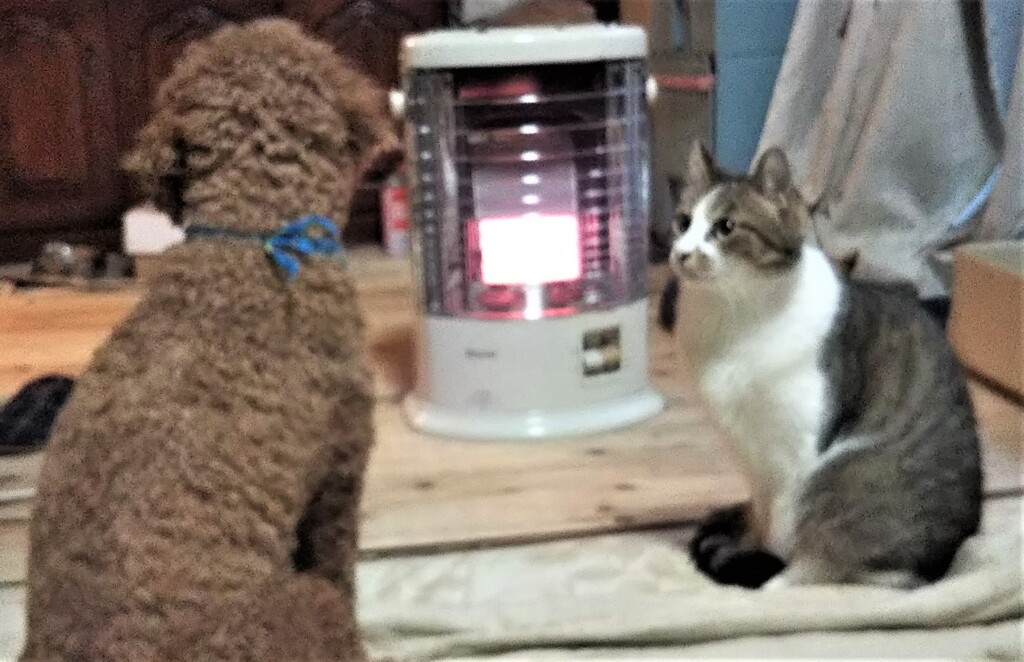 しあわせ